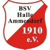 BSV Halle-Ammendorf*