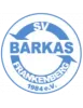 SV Barkas Frankenberg
