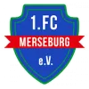 VFB IMO Merseburg III