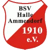 BSV Halle-Ammendorf AH