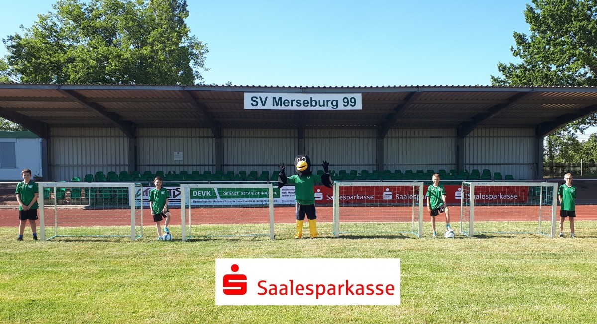 Neue Mini-Tore für den Nachwuchs !!!