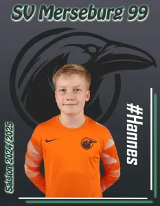 Hannes H.