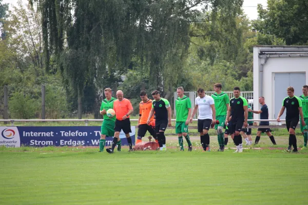 SV Merseburg 99 : VFL Roßbach 1921