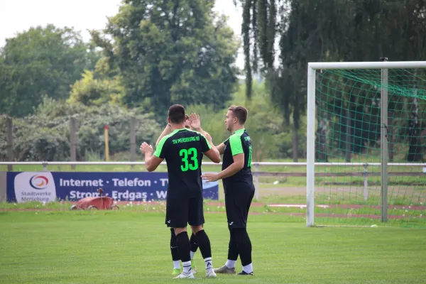 SV Merseburg 99 : VFL Roßbach 1921