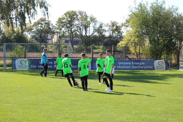 SV Merseburg 99 - TSV Leuna 1919