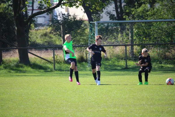 SV Merseburg 99 - TSV Leuna 1919