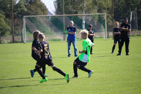 SV Merseburg 99 - TSV Leuna 1919