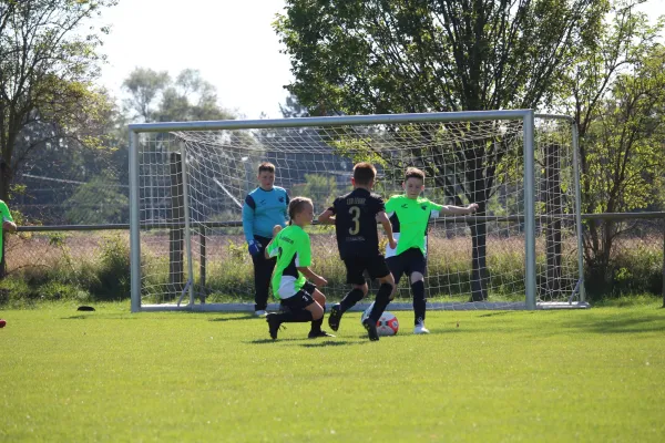 SV Merseburg 99 - TSV Leuna 1919