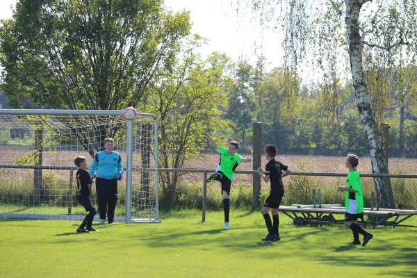 SV Merseburg 99 - TSV Leuna 1919