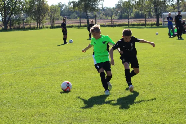 SV Merseburg 99 - TSV Leuna 1919