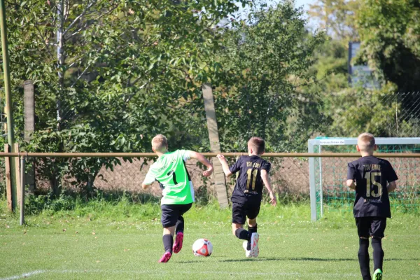 SV Merseburg 99 - TSV Leuna 1919