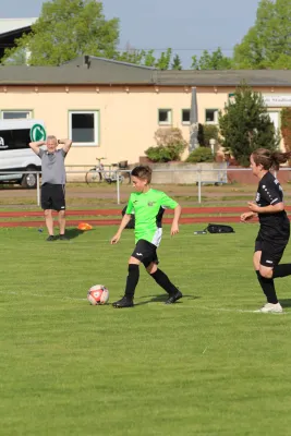 SV Merseburg 99 - JSG Geiseltal II