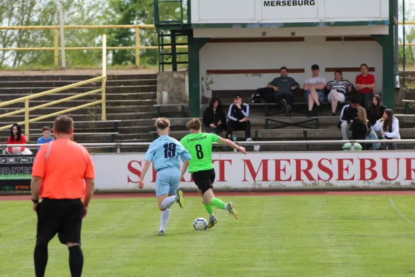 SV Merseburg 99 - 	SV Blau-Weiß Dölau