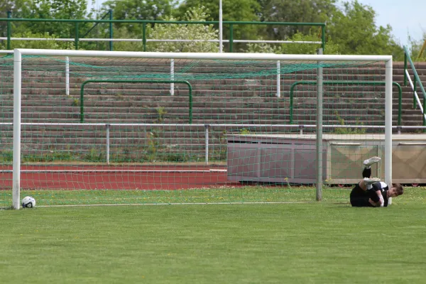 SV Merseburg 99 - 	SV Blau-Weiß Dölau