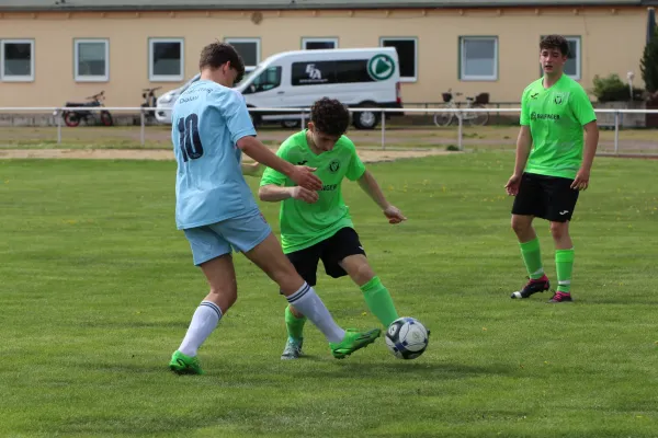 SV Merseburg 99 - 	SV Blau-Weiß Dölau
