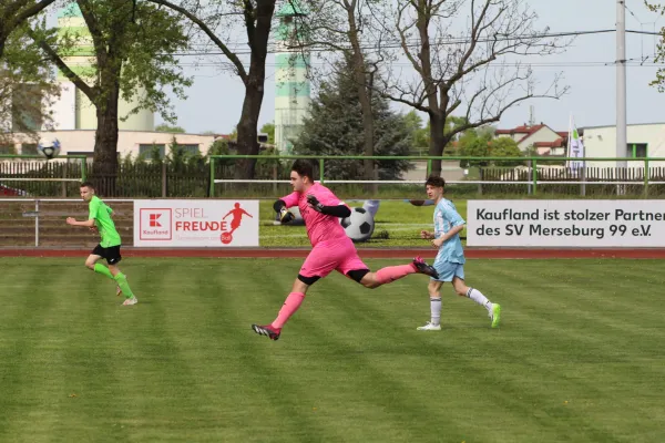 SV Merseburg 99 - 	SV Blau-Weiß Dölau