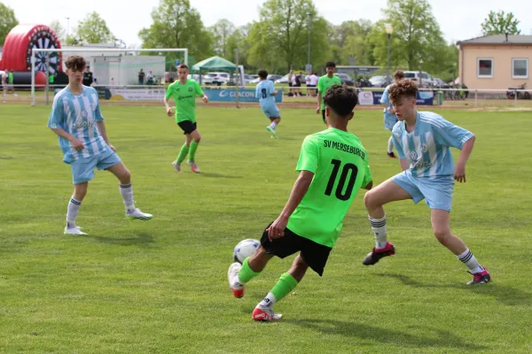 SV Merseburg 99 - 	SV Blau-Weiß Dölau