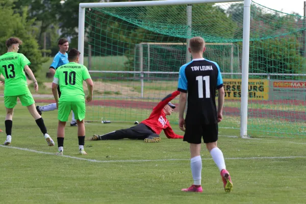 SVMerseburg99 - TSV Leuna 1919 II