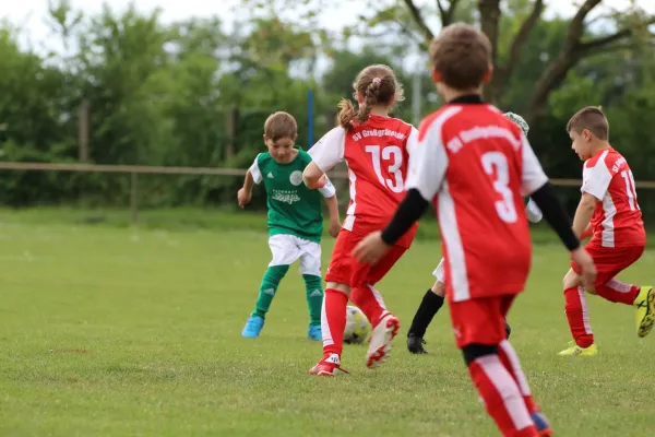 28. Rabencup 2024 / F-Jugend