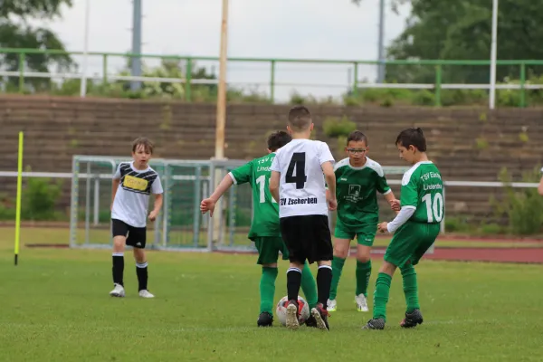 28. Rabencup 2024 / E-Jugend