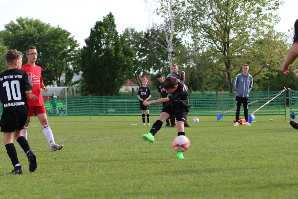 28. Rabencup 2024 / D-Jugend