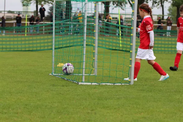 28. Rabencup 2024 / Bambinis