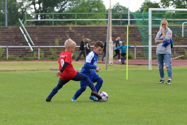 28. Rabencup 2024 / Bambinis