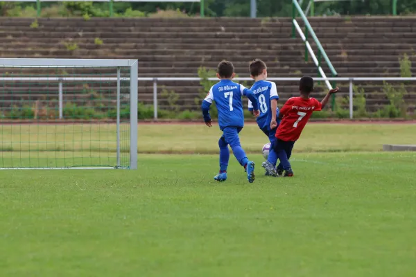 28. Rabencup 2024 / Bambinis