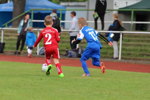 28. Rabencup 2024 / Bambinis