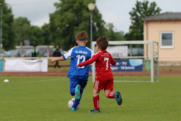 28. Rabencup 2024 / Bambinis