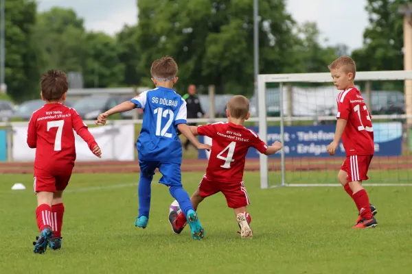 28. Rabencup 2024 / Bambinis