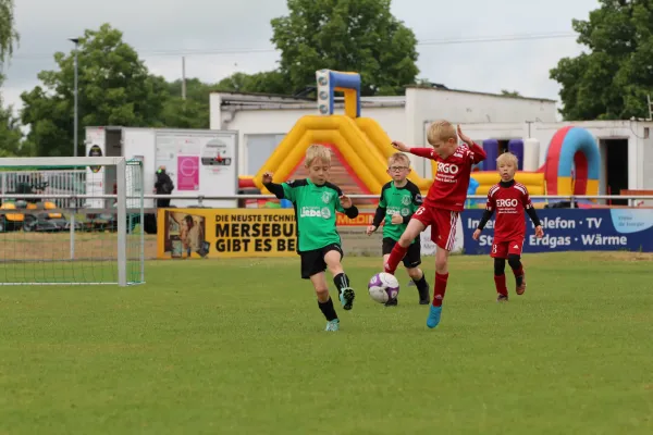 28. Rabencup 2024 / Bambinis