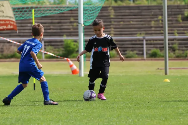 28. Rabencup 2024 / Bambinis