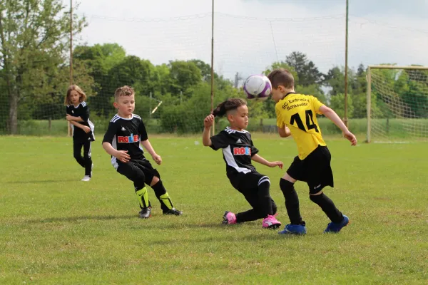 28. Rabencup 2024 / Bambinis