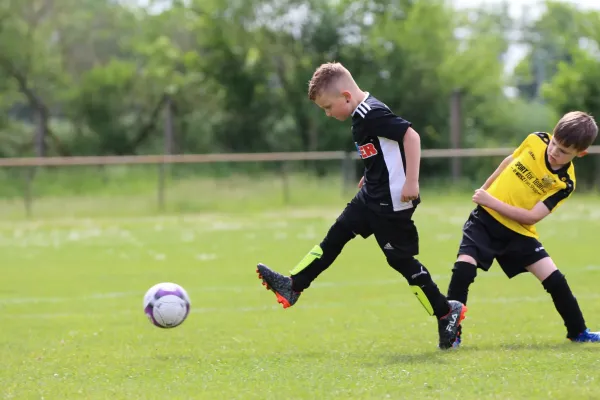 28. Rabencup 2024 / Bambinis