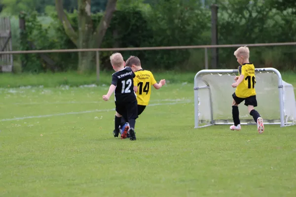 28. Rabencup 2024 / Bambinis