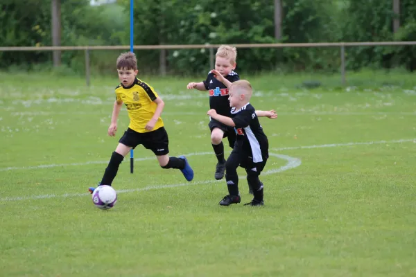 28. Rabencup 2024 / Bambinis