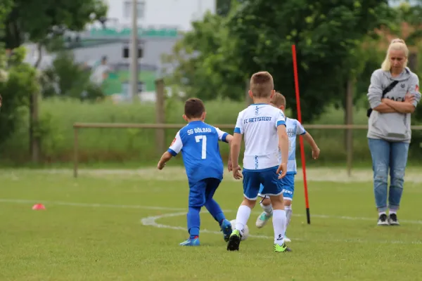 28. Rabencup 2024 / Bambinis