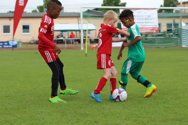 28. Rabencup 2024 / Bambinis