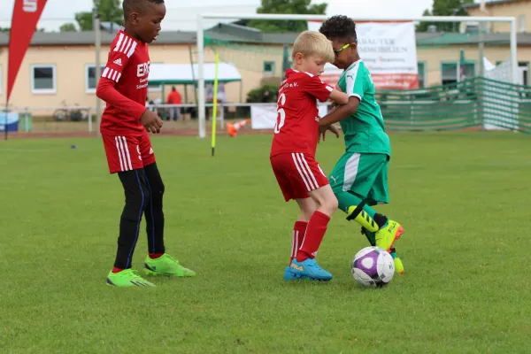 28. Rabencup 2024 / Bambinis