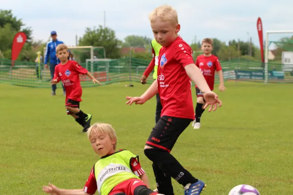 28. Rabencup 2024 / Bambinis