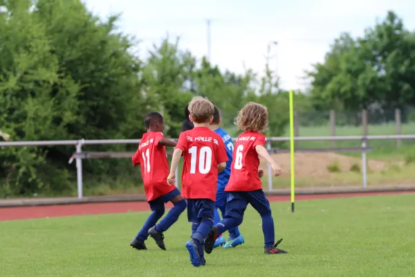 28. Rabencup 2024 / Bambinis
