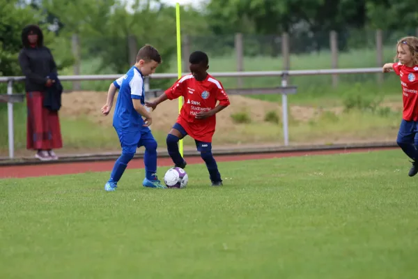 28. Rabencup 2024 / Bambinis