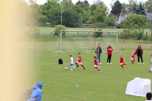 28. Rabencup 2024 / Bambinis