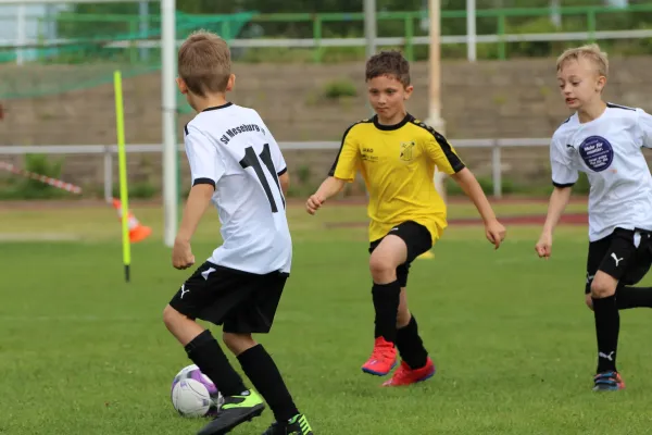 28. Rabencup 2024 / Bambinis