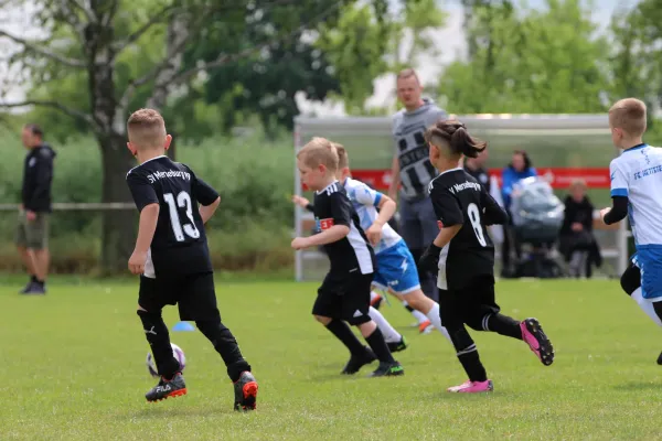 28. Rabencup 2024 / Bambinis