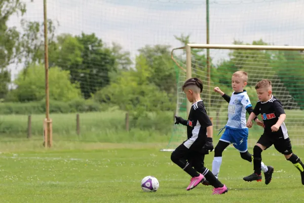 28. Rabencup 2024 / Bambinis