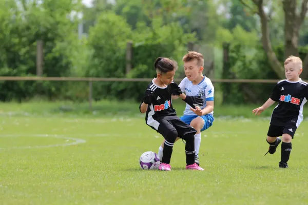 28. Rabencup 2024 / Bambinis