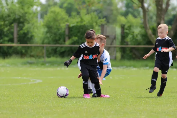 28. Rabencup 2024 / Bambinis