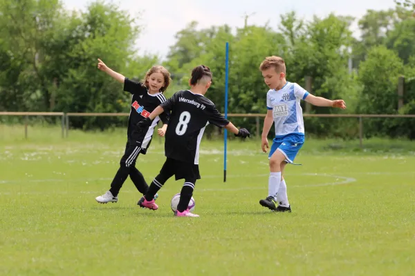 28. Rabencup 2024 / Bambinis